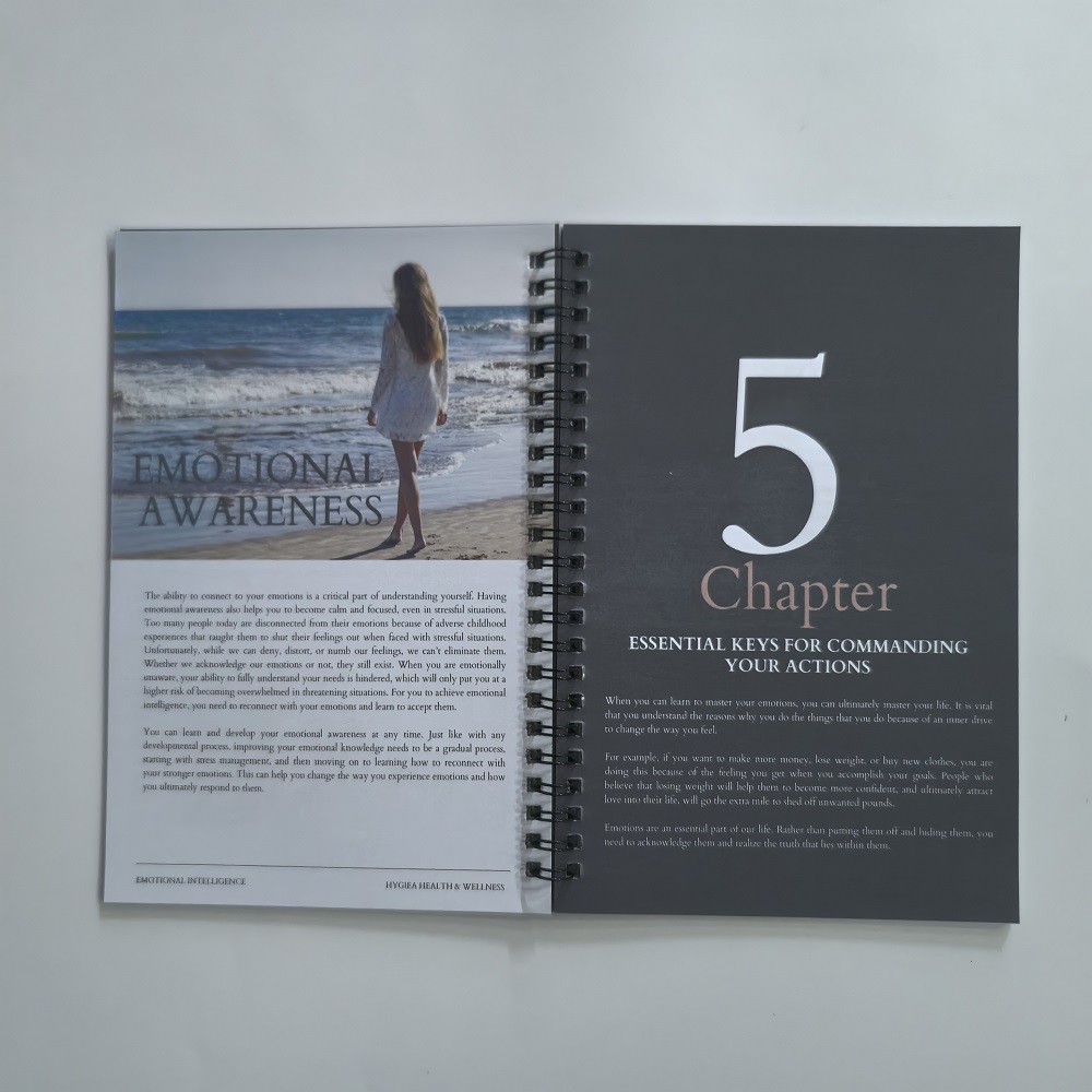 Planejador de Inteligência Emo - Health Wellness Planner avaliação e preço